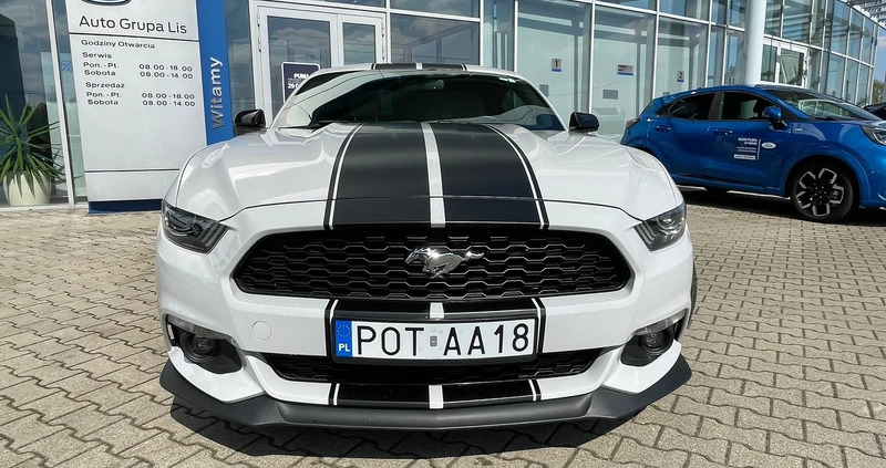 Ford Mustang cena 90000 przebieg: 83300, rok produkcji 2017 z Prusice małe 301